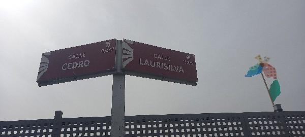 圣克鲁斯-德特内里费, Canarias 38360, 西班牙