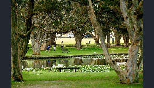 6/86a Todman Avenue, Kensington, NSW 2033, Australia