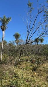 Calle sin nombre, barrio , Emboscada, Cordillera 00001, פרגוואי