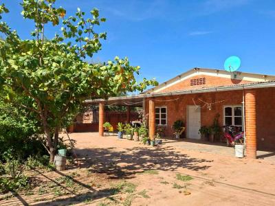 Augusto Roa Bastos , Filadelfia, Boquerón 9300, Paraguay