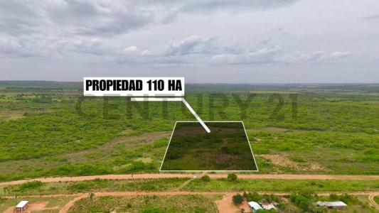 Stud santa rita , Caaguazú, Caaguazú 00001, Paraguay