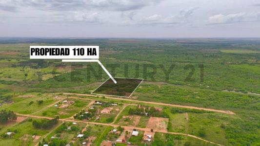 Stud santa rita , Caaguazú, Caaguazú 00001, 巴拉圭