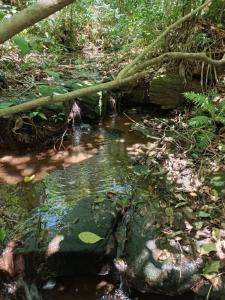 Paraguarí, Paraguarí 00001, Paraguay