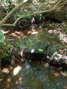 Paraguarí, Paraguarí 00001, Paraguay