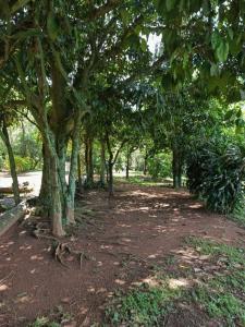 Paraguarí, Paraguarí 00001, Paraguay