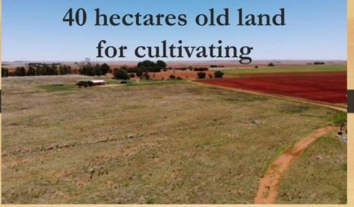 Dealesville, Free State, South Africa