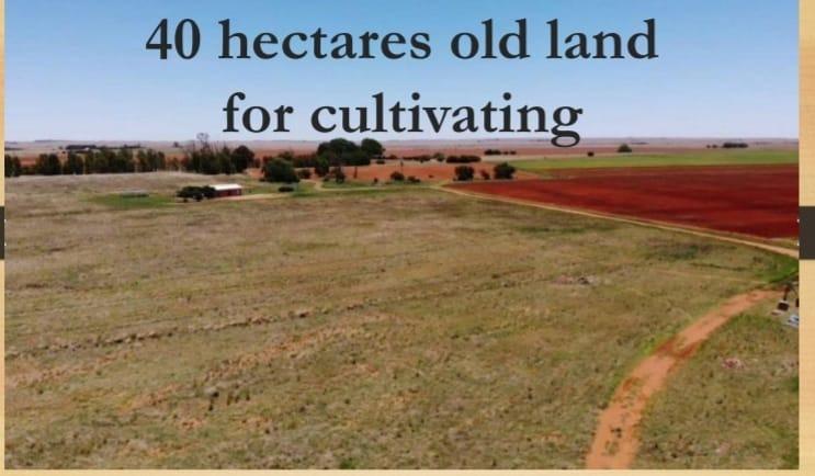 Dealesville, Free State, 南非