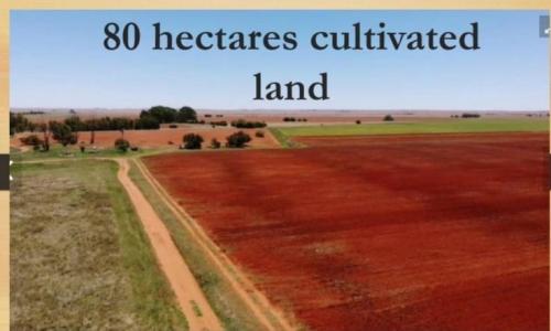 Dealesville, Free State, 南非