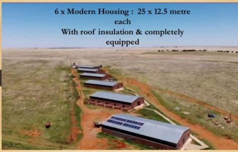 Dealesville, Free State, 南非