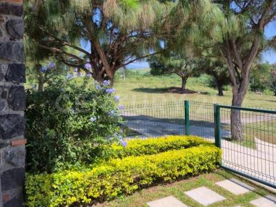 AGUILA REAL 42,, Cuauhtemoc, Colima 28501, México