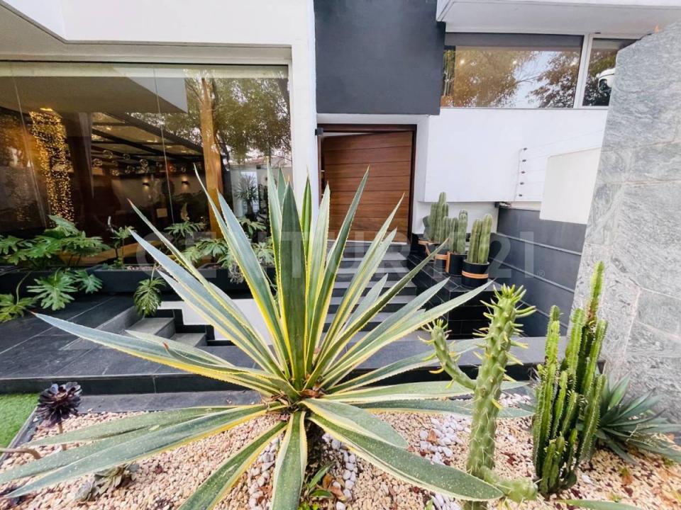 CIRCUITO FUENTES DEL PEDREGAL ,, Tlalpan, Ciudad De México 14140, 墨西哥