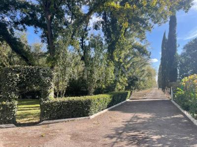 carretera 45 norte s/n,, San Francisco De Los Romo, アグアスカリエンテス 20305, メキシコ