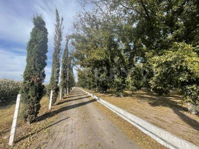 carretera 45 norte s/n,, San Francisco De Los Romo, アグアスカリエンテス 20305, メキシコ