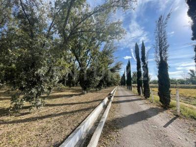 carretera 45 norte s/n,, San Francisco De Los Romo, アグアスカリエンテス 20305, メキシコ