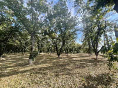 carretera 45 norte s/n,, San Francisco De Los Romo, アグアスカリエンテス 20305, メキシコ