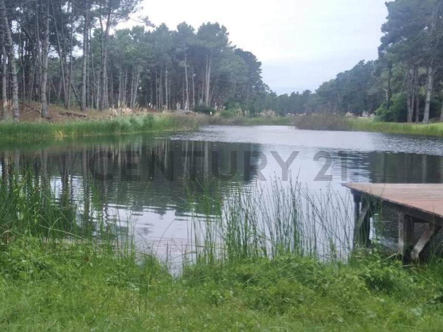 Serena 1 384, Pinamar, Buenos Aires Costa Atlántica 00001, Argentina