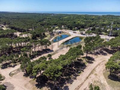 Olimpo y Shaw , Pinamar, Buenos Aires Costa Atlántica 7167, Argentina