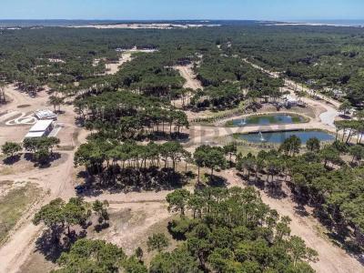 Olimpo y Shaw , Pinamar, Buenos Aires Costa Atlántica 7167, Argentina