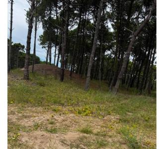 Olimpo y Shaw , Pinamar, Buenos Aires Costa Atlántica 7167, Argentina