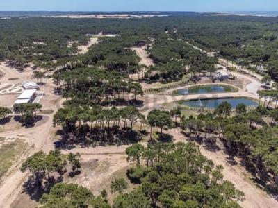 Pinamar, Buenos Aires Costa Atlántica 7167, ארגנטינה