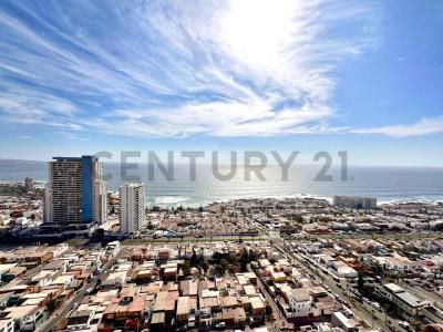 Iquique, Tarapacá 00001, チリ