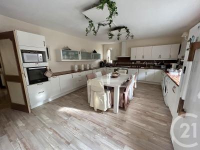 Joue Les Tours, סאנטר 37300, צרפת 