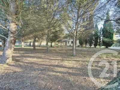 Loupian, 格朗多克魯西永 34140, 法國