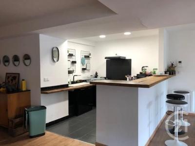 Carcassonne, לנגדוק-רוסיון 11000, צרפת 