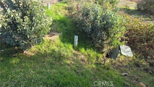 13655 Yahi Court, Magalia, Калифорния 95954, Соединенные Штаты