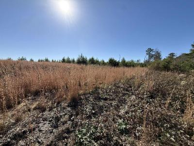 0 St Rt 399, Dunlap, 田納西州 37327, 美國