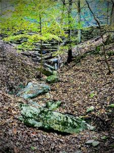 Lot 11 Jackson Ridge, Eureka Springs, Arkansas 72631, Estados Unidos