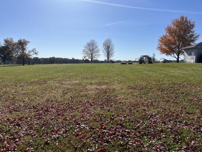 209 W Sunset Drive, Hale, Missouri 64643, Amerika Birleşik Devletleri