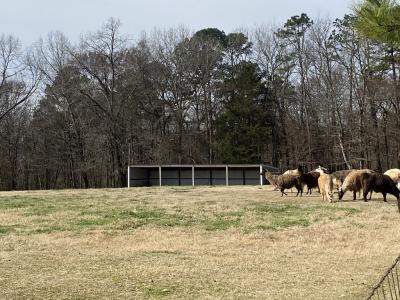 183 Deshong Lane, Mena, Arkansas 71953, Estados Unidos