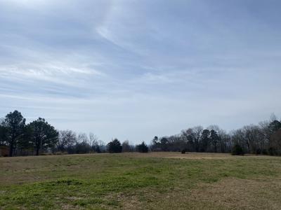 183 Deshong Lane, Mena, Arkansas 71953, Estados Unidos