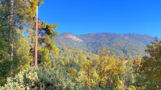 6180 Chowchilla Mountain Rd., Mariposa, California 95338