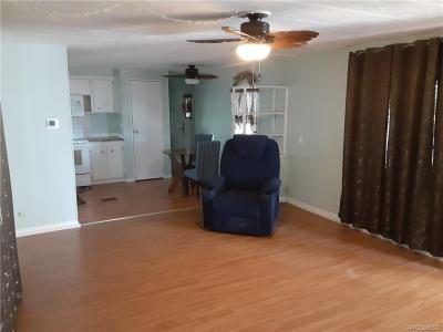 20451 Powell Rd, Lot #23, Dunnellon, Flórida 34442, Estados Unidos