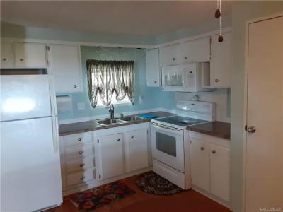 20451 Powell Rd, Lot #23, Dunnellon, Flórida 34442, Estados Unidos