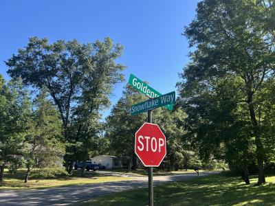 134 Snowflake Way, Houghton Lake, 미시건 48629, 미국