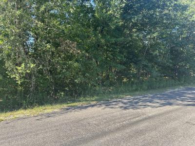 134 Snowflake Way, Houghton Lake, 미시건 48629, 미국