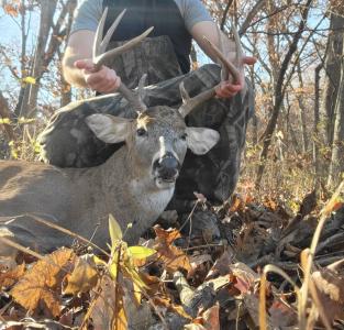 XXX Buck Creek Road, Greentop, Missouri 63546, Estados Unidos