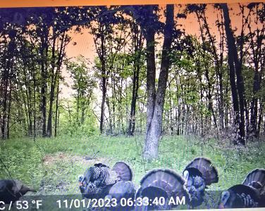 XXX Buck Creek Road, Greentop, Missouri 63546, Estados Unidos