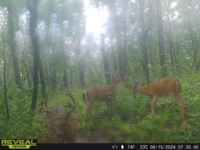 XXX Buck Creek Road, Greentop, Missouri 63546, Estados Unidos