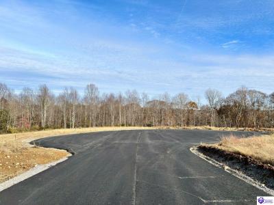 11 Riverwood Lane Lot #11, Campbellsville, 肯塔基州 42718, 美国