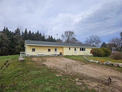 20575 Tower Hill Road SW, Brandon, Minnesota 56315, USA