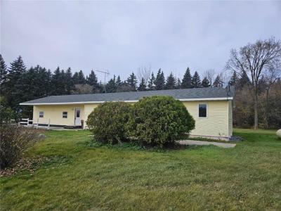 20575 Tower Hill Road SW, Brandon, Minnesota 56315, USA