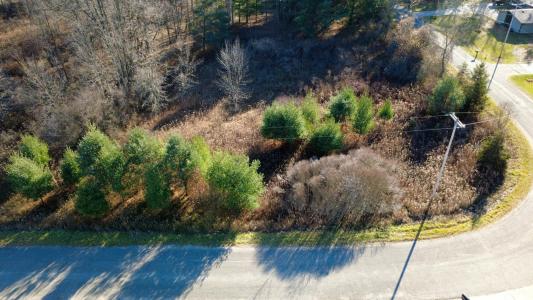 Edgewood Drive, Big Rapids, Michigan 49307