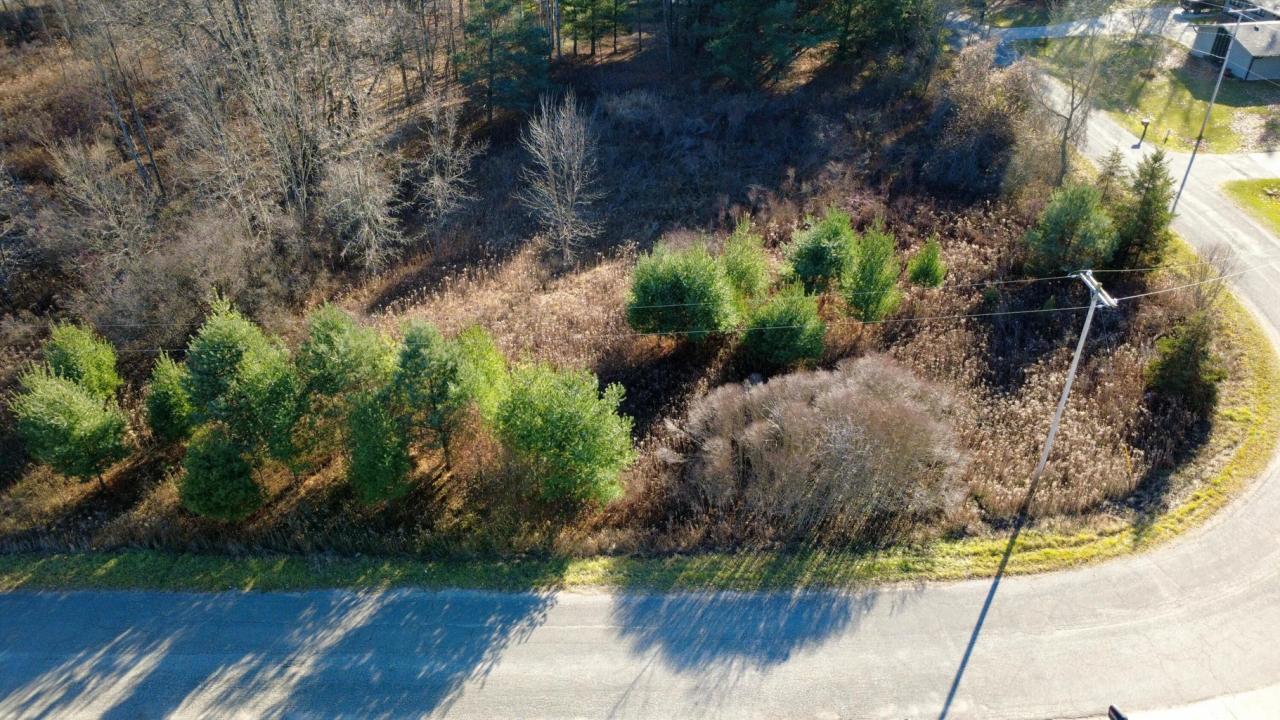 Edgewood Drive, Big Rapids, Michigan 49307, États-Unis