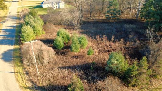 Edgewood Drive, Big Rapids, Michigan 49307, États-Unis