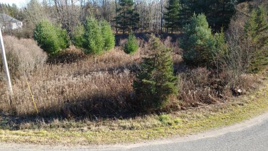 Edgewood Drive, Big Rapids, Michigan 49307, États-Unis