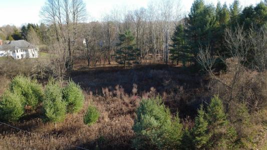 Edgewood Drive, Big Rapids, Michigan 49307, États-Unis